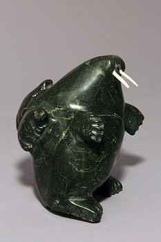 Work: Walrus with pups