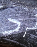 News: Deciphering Inuktitut Signatures, February  1, 2013 - Ann Lesk