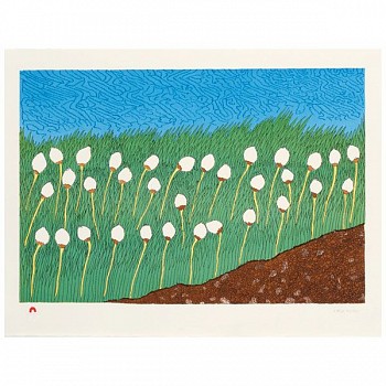 Artist:&nbsp;Nicotye Samayualie