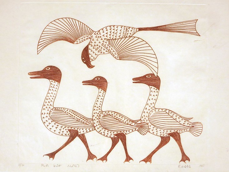 Kenojuak Ashevak, Geese with Hawk [titled in Inuktitut], 1963
Engraving
00346-1