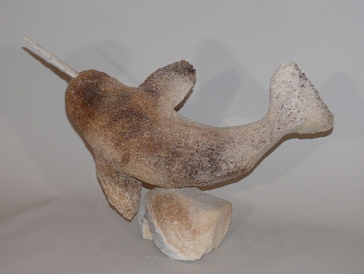 Inuit Anonymous, Narwhal
14 x 17 x 7 in.
A large whalebone carving, which is simple in form but speaks of the carver's skill.  Most whalebone carvers did not try to modify the basic form of the bone.  The difficulty of carving whalebone made it desirable -- almost imperative -- to let the form of the bone define the shape of the carving.  The outstretched flippers and the tail are understated tours de force.
03709-1