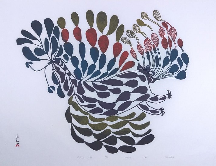 Pitseolak Ashoona, Festive Bird, 48/50, 1970
24 x 33 1/2 in.
ex coll.  Albrecht Collection of Arctic Art
If you look closely, you can see the outlines of the bird's head, body and legs, which are surrounded by and filled with an explosion of colorful feathers.  This print simply radiates joy.  Its design  is much more fluid than Pitseolak's scenes of daily life, but it relates back to her early depictions of demons, such as "Night Demons of Earth and Sky" and "Man with Beasts."