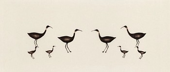 Works: Whimbrels (curlews)