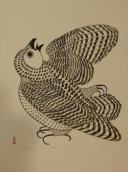 Works: Young Arctic Owl, 31/100